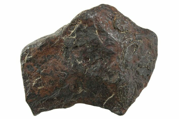 Canyon Diablo Iron Meteorite ( g) - Arizona #356102